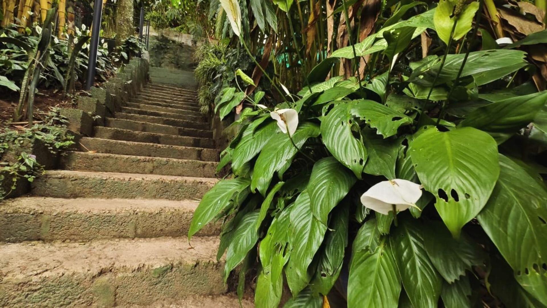 Lush Acres Villa Thekkady Dış mekan fotoğraf
